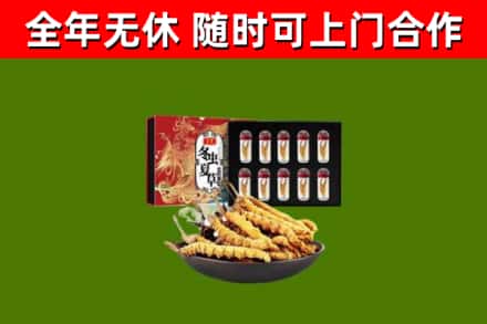 望谟县回收冬虫夏草价格